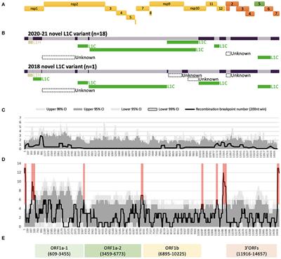 Measuring How Recombination Re-shapes the Evolutionary History of PRRSV-2: A Genome-Based Phylodynamic Analysis of the Emergence of a Novel PRRSV-2 Variant